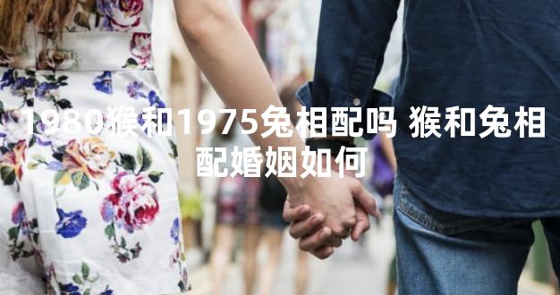 1980猴和1975兔相配吗 猴和兔相配婚姻如何